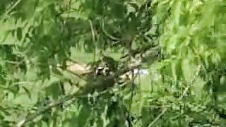 Blonde giving her nude body to the sun and beach voyeurer