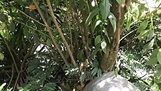 💦THE BEST PISSING SQUIRT COMPILATIONS. OF SEXY WOMEN 💦