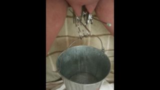 BDSM Pussy Labia Stretching Weight Torture Pissing in a Bucket Clamped Lips