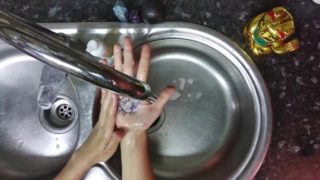 El gato de la suerte ayuda a combatir el virus!(Scrubhub)