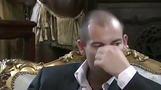 Pretty kocica on the pin