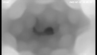 Only Inside View That Silicon Mouth