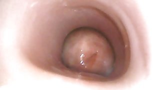 Quick Cumshot internal in fleshlight with lube