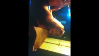 Fucked hard doggy style. Pounded hard. POV doggystyle.