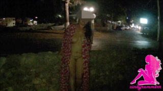 Naked in public park in the night