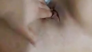 Iranian Persian Iran Irani