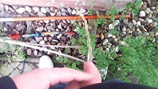 I piss in neighbours garden