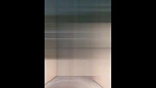 o barulho da linguada