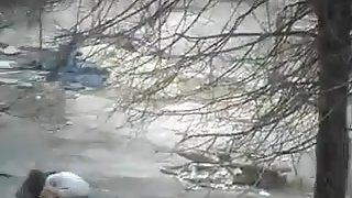 Couple Having Sex Outside