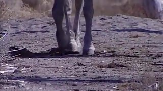 Best pornstar Violet Blue in exotic anal, blonde adult clip