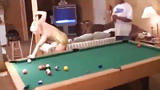 Hot blonde wife stockings distract black man with bbc