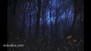 Loving Hypnosis for Insomnia - Positive SFW audio by Eve's Garden - relax and drift off