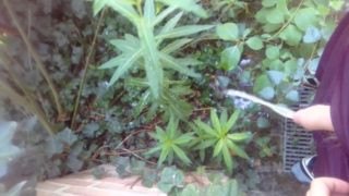 Young man piss outdoor