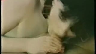 Danish Peepshow Loops 146 70's and 80's - Scene 4