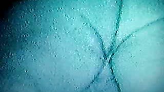 Hot retro homemade video of one fat dude fucking his fattie