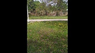 Amat ita - mi faccio una sega in pausa pranzo vicino al parco ma non passa neanche una donna