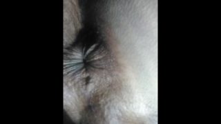 Transgirl Puckering My Ass & Bending My Non-Op Clit 