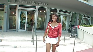 Micha's Mulatto Pussy Cat