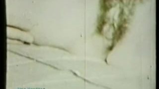 Classic Stags 186 1960's - Scene 3