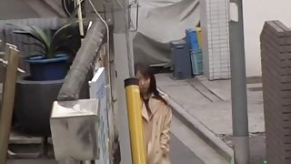 Vixenish skinny Japanese chick flashes her hairy pussy during sharking meeting