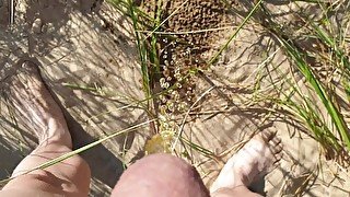 Husband had to pee on the beach