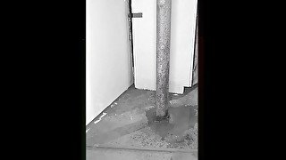 Demons Pisses on Poll