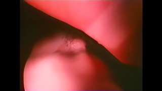 Screwing The Boss's Daughter