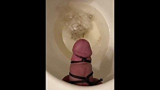 Clean the toilet too