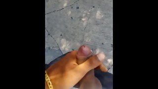 Monterrey Nuevo Leon, Paja Con Mecos Enfrente Del Publico.