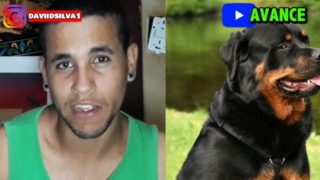 SU PERRO ME QUERÍA COMER (GAY)