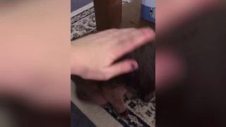 PUSSY STROKING CUMPILATION