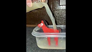 Horse gets drenched in cum shower, Pokey is covered in cum