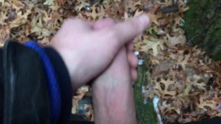 Masturbating in Woods during Hunting Season