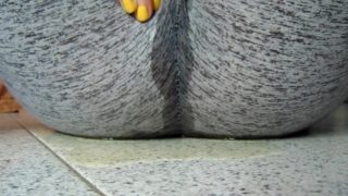 lick my feet and fill the golden rain leggings