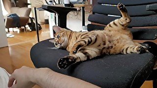 Romantic play in bed and wake up .... Fierce pussy on a Sunday morning.