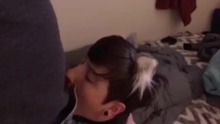 Collared & Throat Stuffed FTM Kitten 