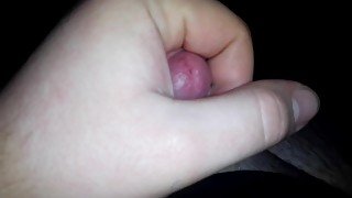 Who wanna suck my dick?