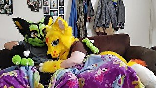 Sexy Furry movie night