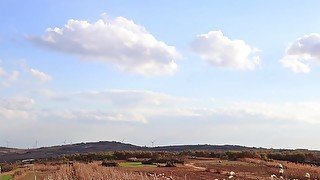 Glutinous rice cake with apple