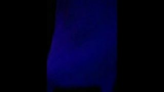 音質派目線　賽は投げられた/THE BANANA MONKEYS