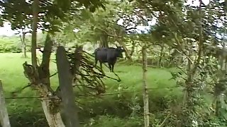 Horny pornstar in hottest latina, cumshots xxx clip