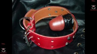 INTRO-Spreadeagle chained & penis gagged slut hard whipping and ass hammering