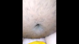 She let's me cum in her everytime in this position