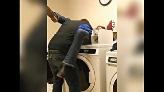 Got to play with this cutie while laundry was drying