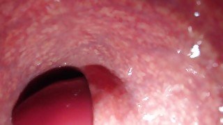 Internal View XL Bad Dragon Diego Anal Multi Cum Shot