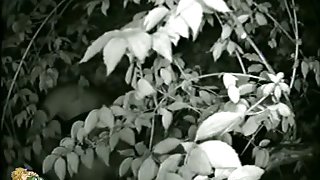 back to nature pissing and hiding behind the bushes in the park