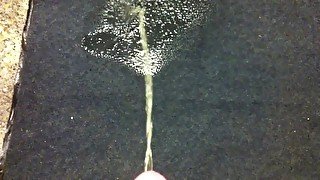 Morning pissing all over her carpet again