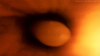 First Pulse Instantly Fills Condom