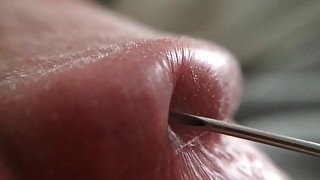 Penis Glans Tissue on Ultra Closeup HD View (Handheld Macro is a Real Challenge)