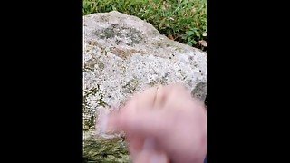 Cumshot at a rest area